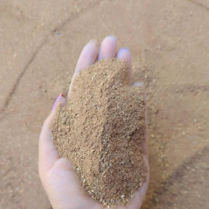 Base Image
