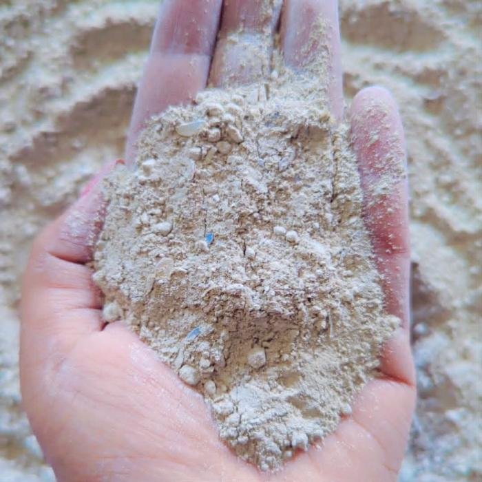 Base Image