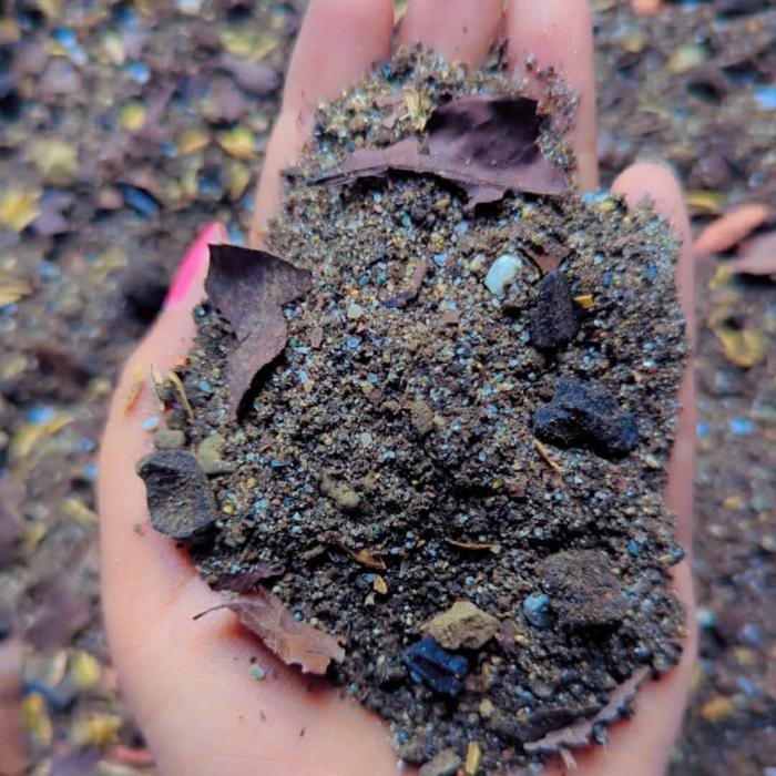 Base Image