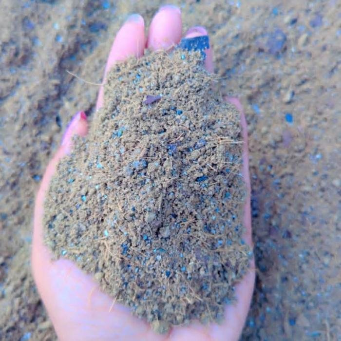 Base Image