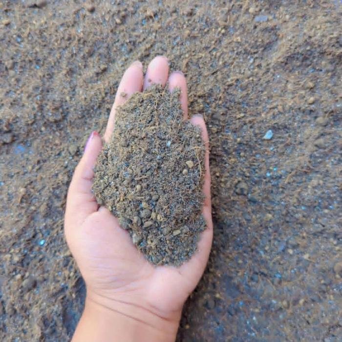 Base Image